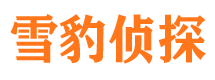 洪山捉小三公司